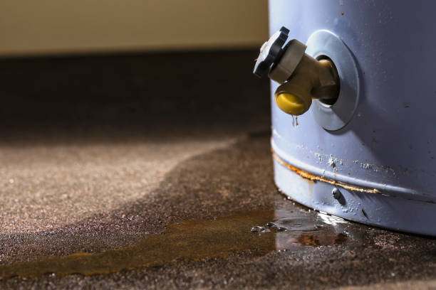 Best 24/7 water damage repair  in Alpena, MI