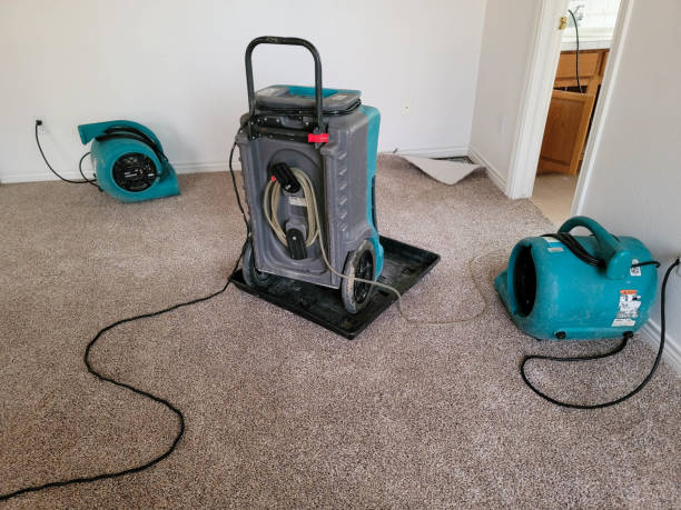 Best Water damage restoration specialists  in Alpena, MI