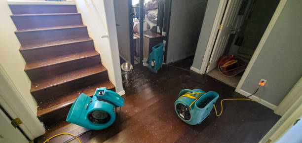 Best Emergency water damage restoration  in Alpena, MI