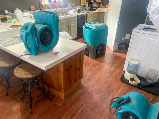 Best Flood damage cleanup  in Alpena, MI