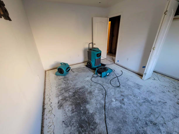 Best 24-hour water damage restoration  in Alpena, MI