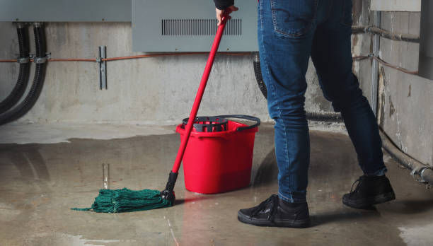 Best Flooded house restoration  in Alpena, MI