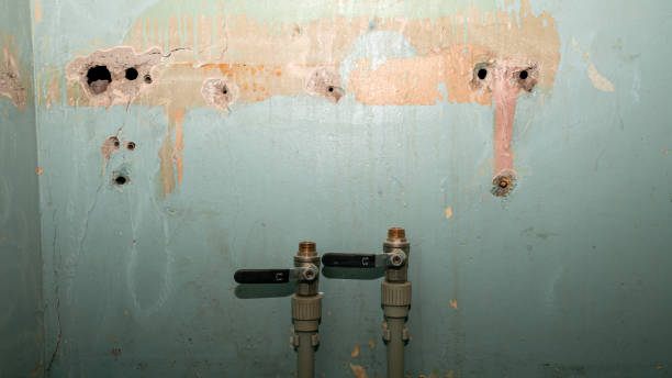 Best Flooded house restoration  in Alpena, MI