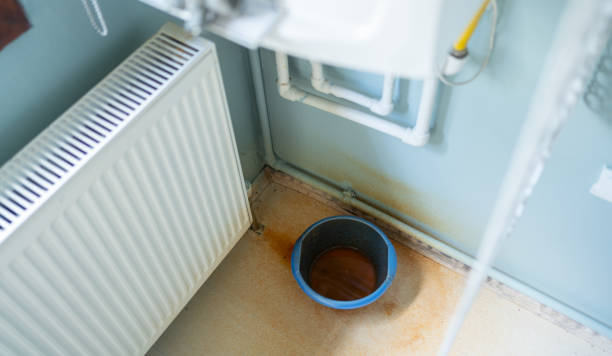 Best Carpet water damage restoration  in Alpena, MI