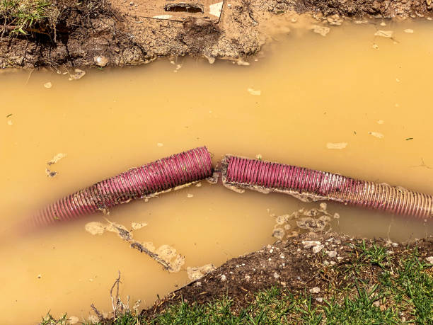 Best Water damage restoration mold remediation  in Alpena, MI