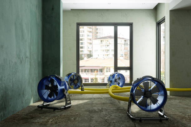 Best Sewage cleanup and water damage restoration  in Alpena, MI