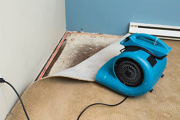 Reliable Alpena, MI Water damage restoration Solutions